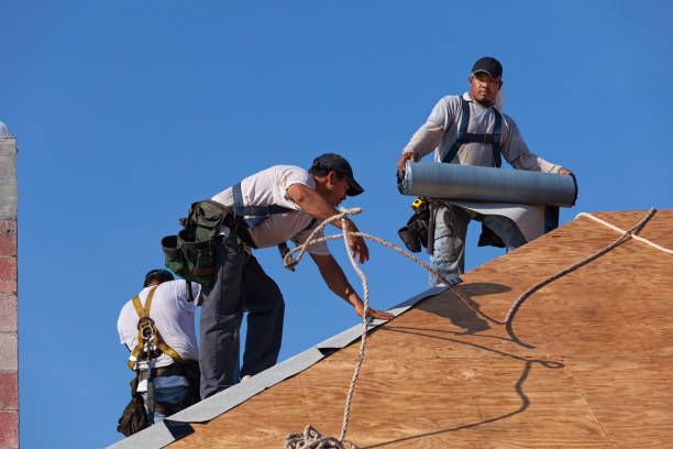Roof Gutter Cleaning in Sharon Center, OH